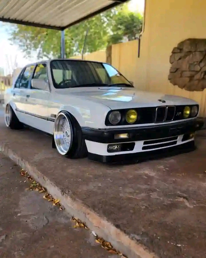 1684573859404.jpg